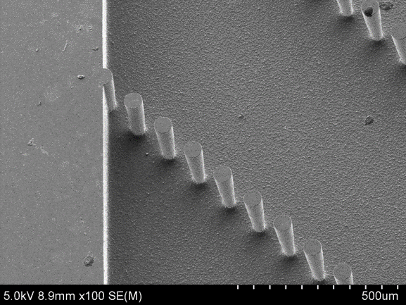 ボッシュエッチングで形成した径60µm、深さ200µmの疎密度ピラーパターン